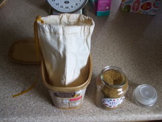 Soaking the seeds in the bag